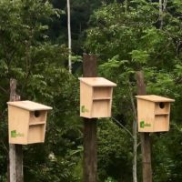 Integrated Pest Management (IPM) strategies